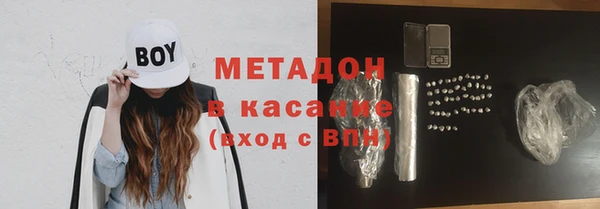 прущие грибы Волоколамск