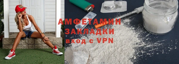 прущие грибы Волоколамск