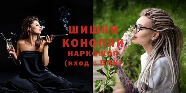 прущие грибы Волоколамск